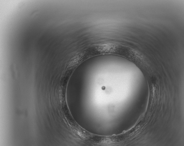 X0000059800416200510281644