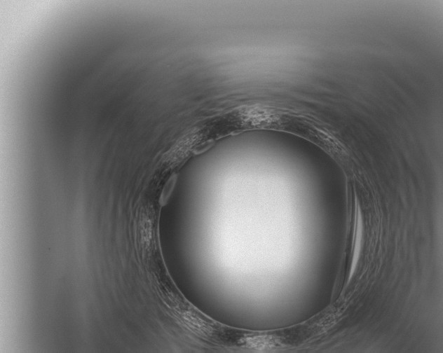 X0000059800417200510281644