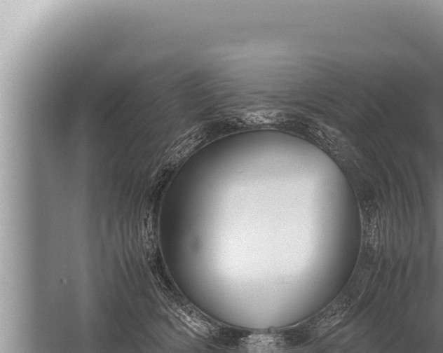 X0000059800418200510281644