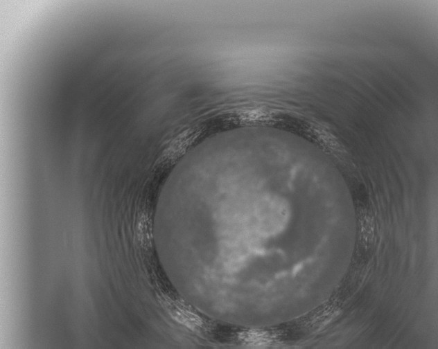 X0000059800419200510281644