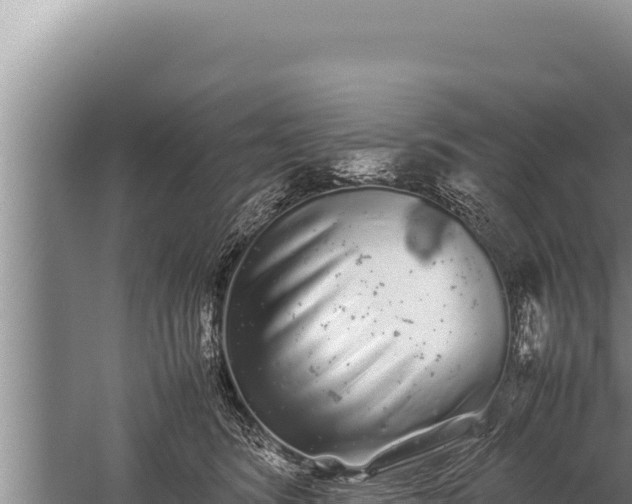 X0000059800420200510281644