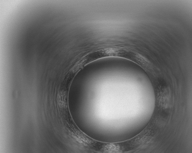 X0000059800421200510281644