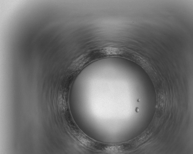 X0000059800422200510281644