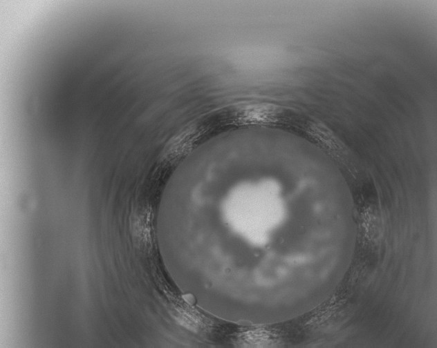 X0000059800423200510281644