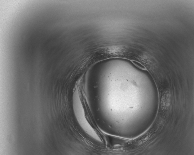 X0000059800424200510281644