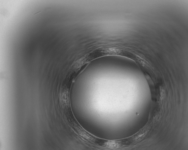 X0000059800425200510281644