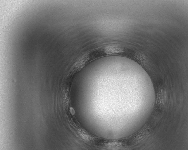 X0000059800426200510281644