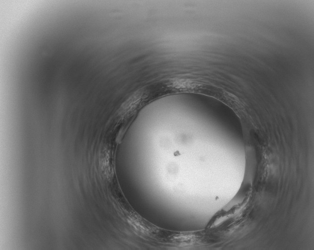 X0000059800428200510281644