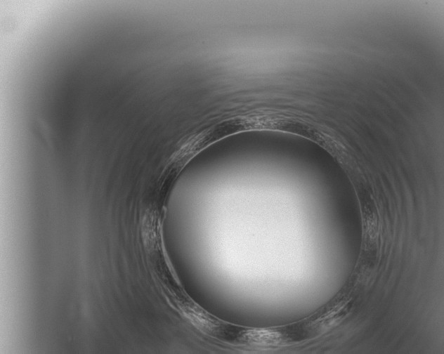 X0000059800429200510281644