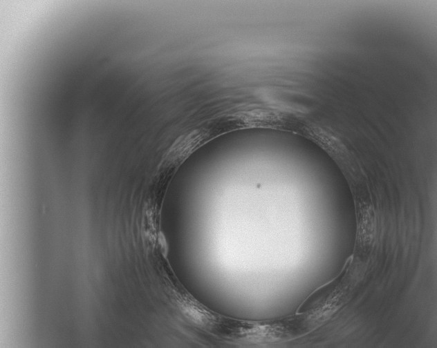 X0000059800430200510281644