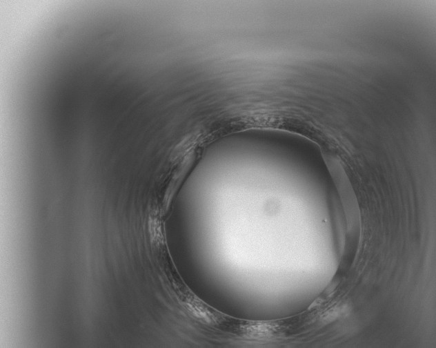 X0000059800432200510281644