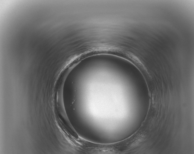 X0000059800436200510281643