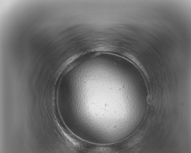 X0000059800437200510281643