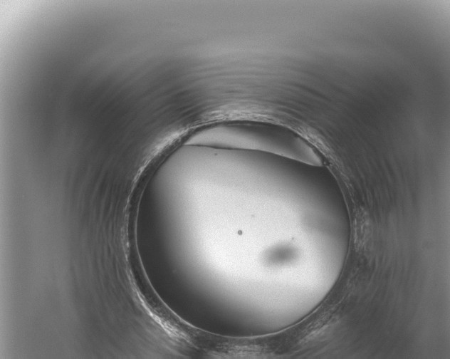 X0000059800438200510281643