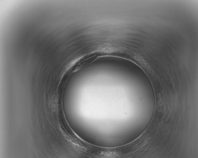 X0000059800440200510281643