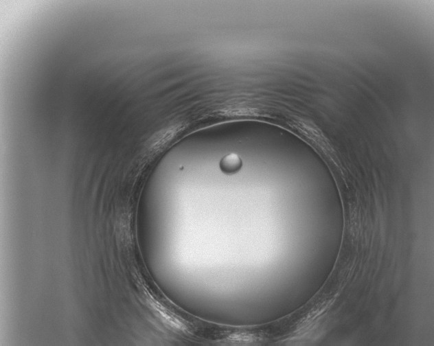 X0000059800441200510281643