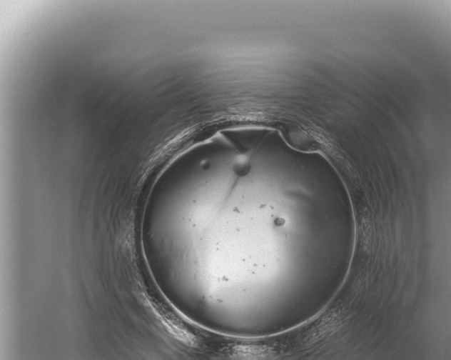 X0000059800442200510281643