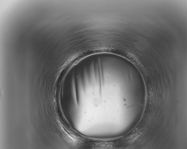 X0000059800443200510281643