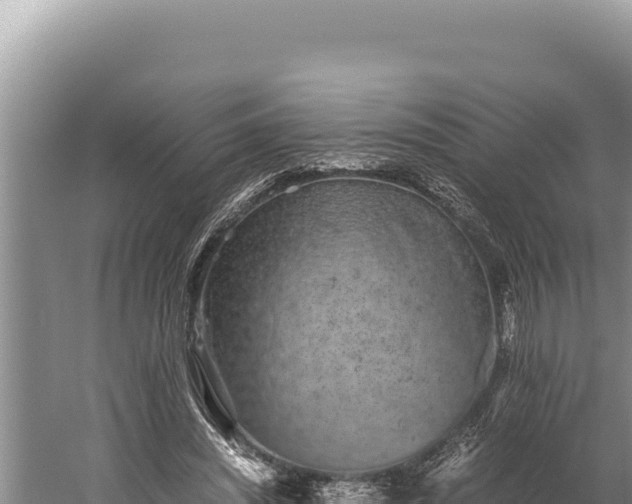 X0000059800444200510281643