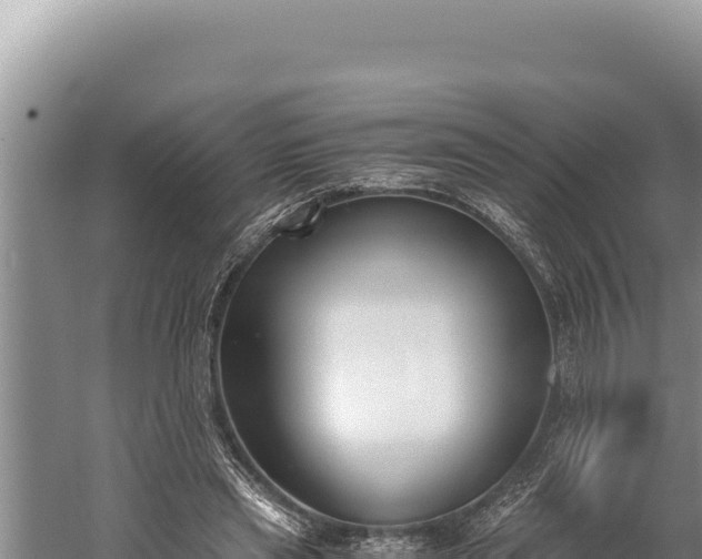 X0000059800445200510281643