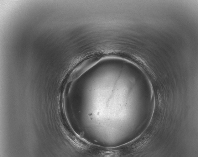 X0000059800447200510281643