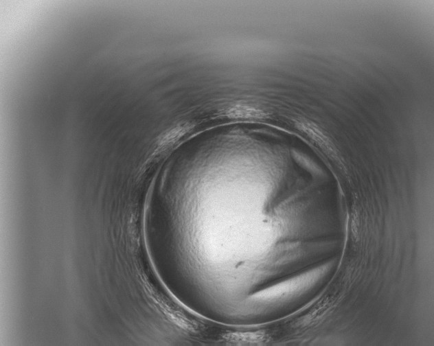 X0000059800449200510281643