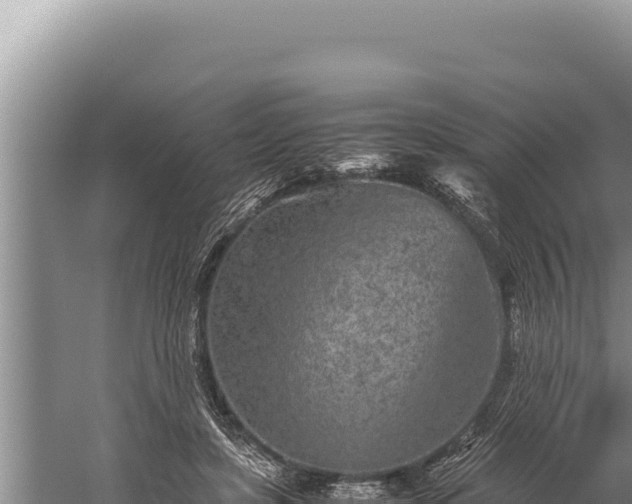 X0000059800451200510281643