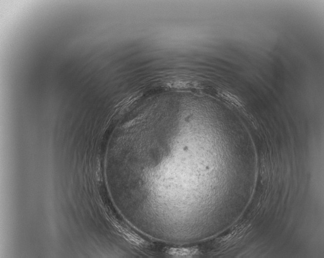 X0000059800453200510281643