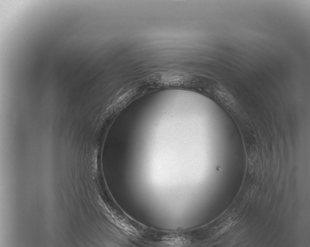 X0000059800454200510281643