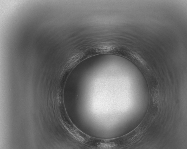 X0000059800455200510281643