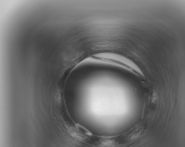 X0000059800456200510281643