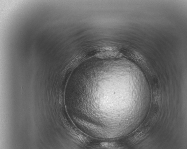 X0000059800457200510281643