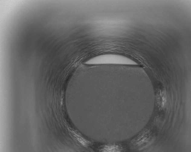 X0000059800458200510281643