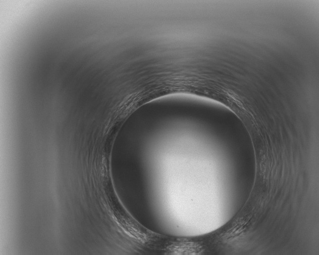 X0000059800459200510281643