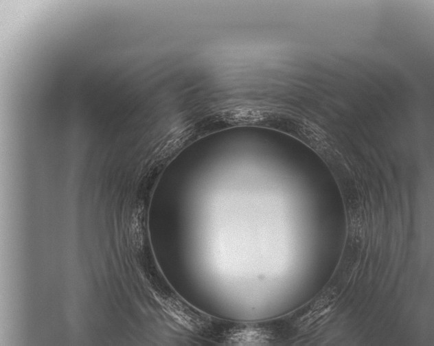 X0000059800460200510281643