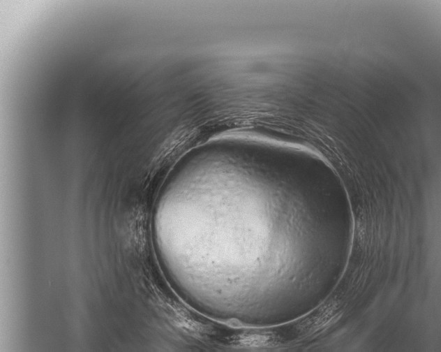 X0000059800462200510281643