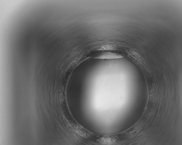 X0000059800464200510281643