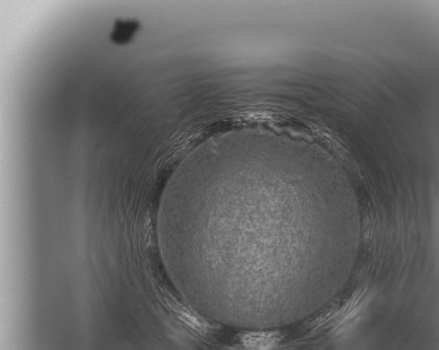 X0000059800465200510281643