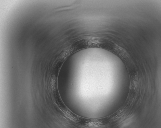 X0000059800468200510281643