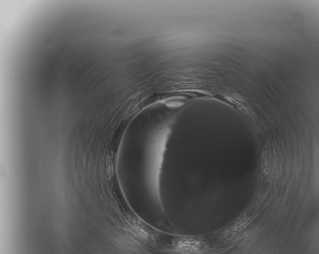 X0000059800471200510281643