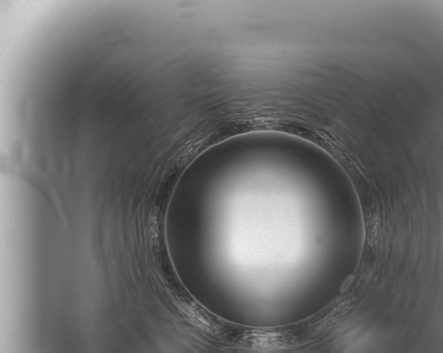 X0000059800472200510281644