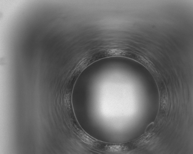 X0000059800473200510281644