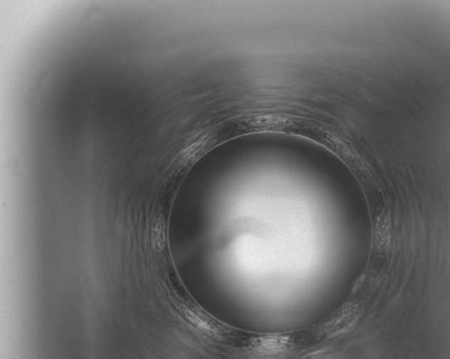 X0000059800474200510281644