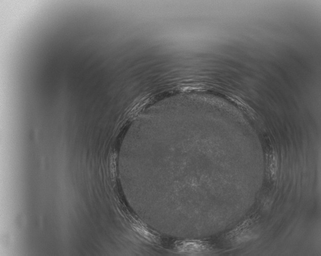 X0000059800475200510281644