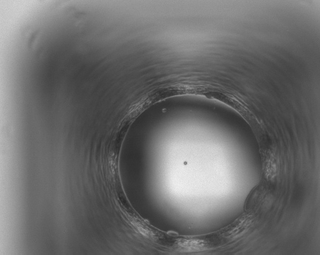 X0000059800476200510281644