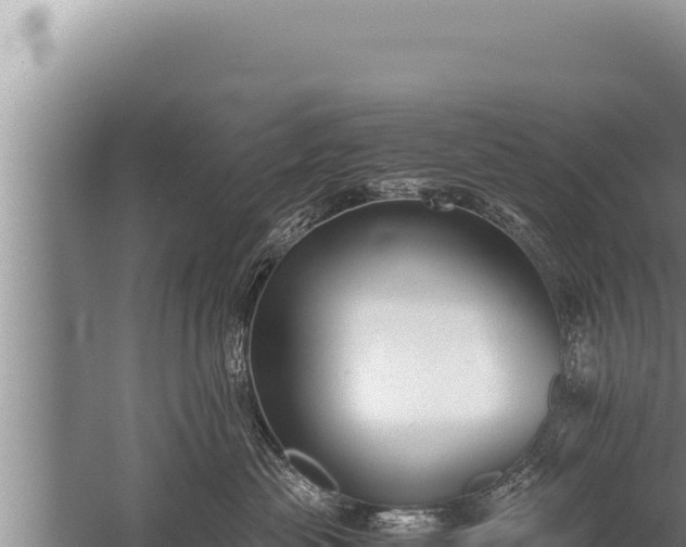 X0000059800477200510281644