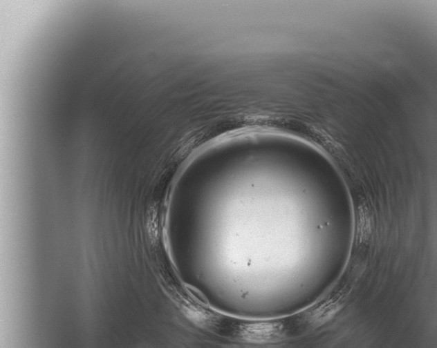 X0000059800479200510281644