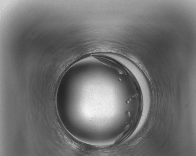 X0000059800481200510281643