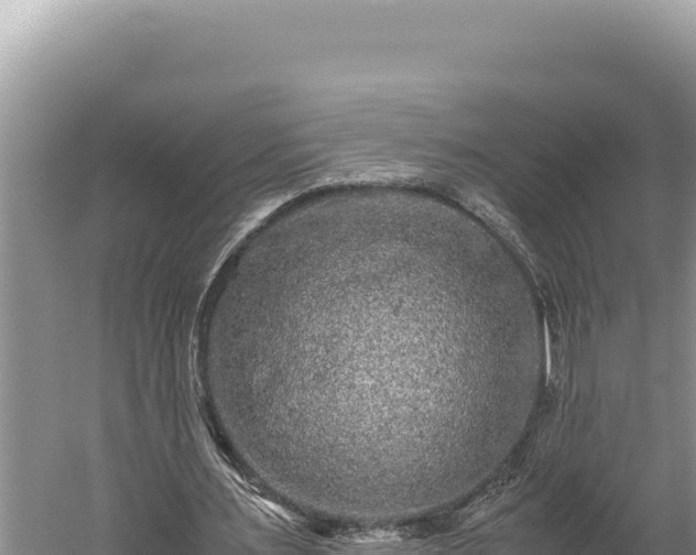 X0000059800483200510281643