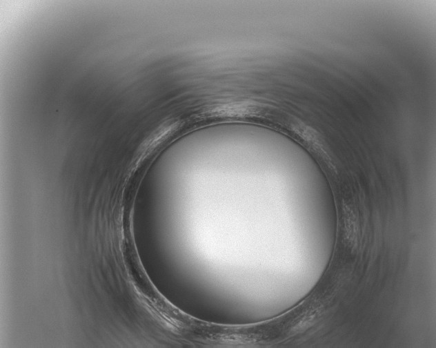 X0000059800486200510281643